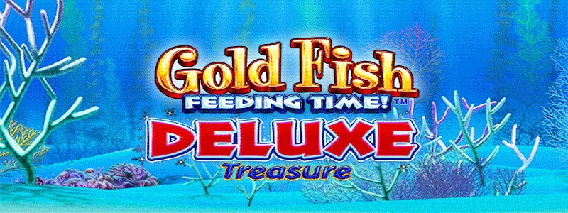 Gold Fish Feeding Time Deluxe Treasure