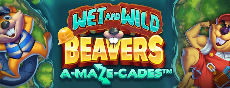 Wet and Wild Beavers