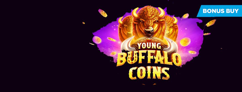 Young Buffalo Coins