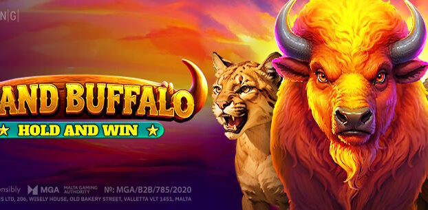 Grand Buffalo Hold and Win