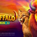 Grand Buffalo Hold and Win