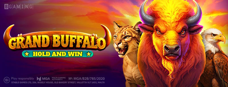 Grand Buffalo Hold and Win